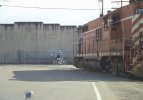 Lodi CA Bonehead crossing in Front of CCT 1790