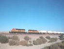 BNSF 6879 starts to climb the WB Frost Flyover. Calrailfans meet 10/10/03
