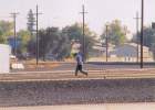 Roseville bonehead