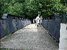 Cassandra Bridge
