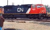 Canadian National 5603 on a EB BNSF Stack train, Stockton CA 12/04