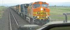 UP Meets BNSF at Craig on the Canyon Sub