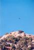 Hawk over Echo Canyon Utah