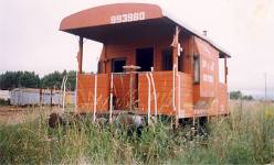 Ferrocarriles Argentinos 993980 Located in an overgrown yard in Argentina