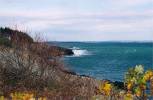 View of the Maine coast at Lands End looking north