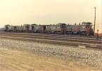 Line up of SP SW1500's at West Colton. Russ Johnson photo