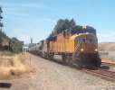 UP 4341 East at Eckley Park. Spencer Walker photo