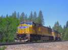 UP 4395 on the Eastboung QFRNPP at Alta CA during a Calrailfans Meet there. Kevin Caldwell photo