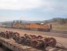 UP 4595 East at Portola. Spencer Walker photo