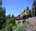 UP 7510 on the Eastboung MRVOG at Alta CA during a Calrailfans Meet there. Kevin Caldwell photo