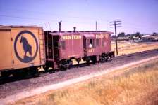 WP 447 Sacramento, CA 8-71 Frank Brehm
