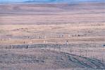 Wyoming Wildlife, We saw these animals (looks like Tule Elk) for most of Eastern Wyoming